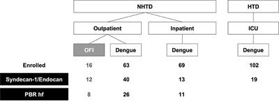 Visual and Biochemical Evidence of Glycocalyx Disruption in Human Dengue Infection, and Association With Plasma Leakage Severity